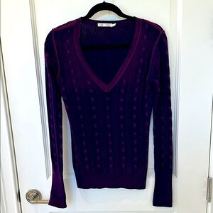 Raffi Purple V-Neck Sweater